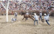 Imagen Festividades Quevedeñas 